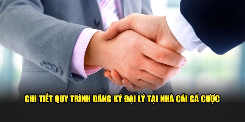 Chi tiết quy trình đăng ký làm đối tác tại nhà cái cá cược