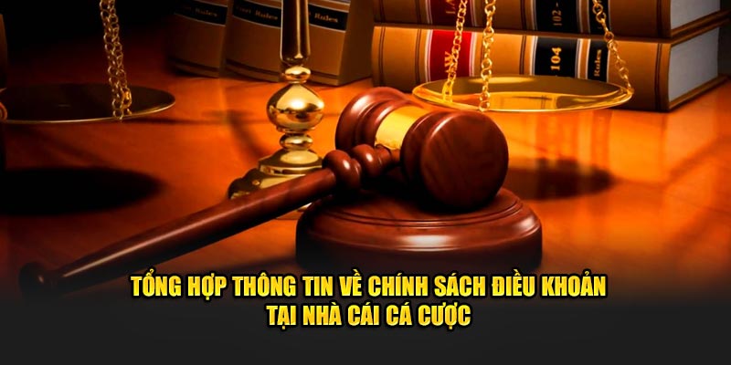 Tổng hợp thông tin về chính sách điều khoản cơ bản tại nhà cái cá cược