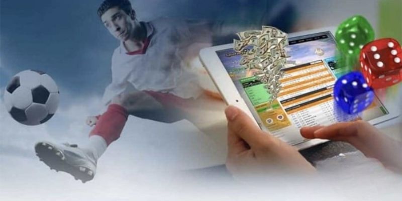 Tìm hiểu thông tin các đội trước khi đặt cược để thắng lớn